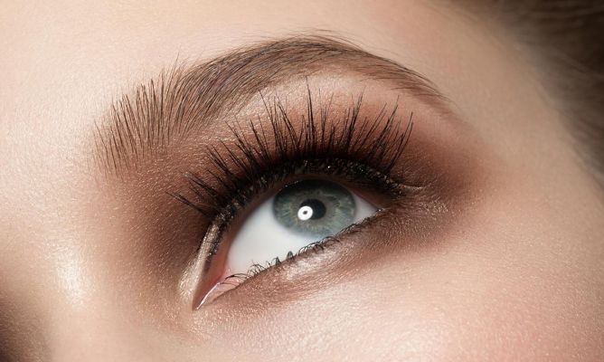 Cejas y Pestañas